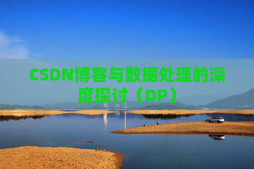 CSDN博客与数据处理的深度探讨（DP）